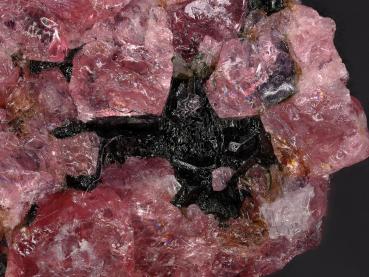 Potassic-magnesio-fluoro-arfvedsonite